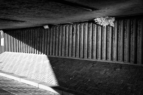 Venice International Experimental Art Festival